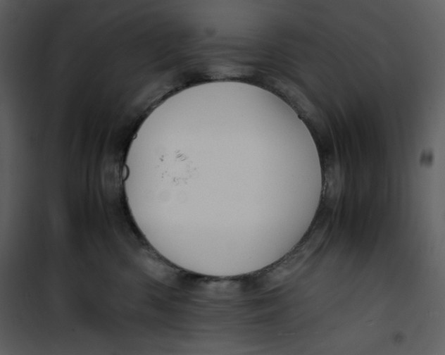 X0000100860426200807181140