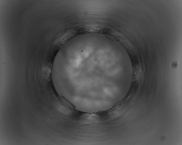 X0000100860427200807181140