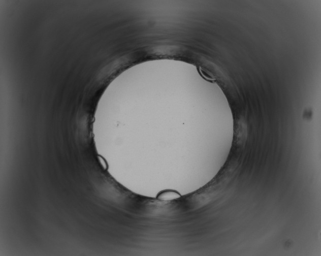 X0000100860428200807181140