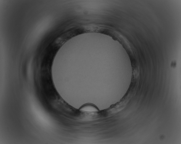 X0000100860429200807181140