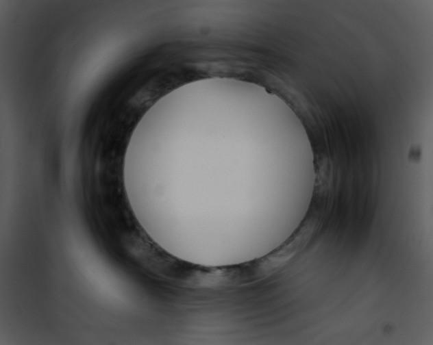 X0000100860430200807181140