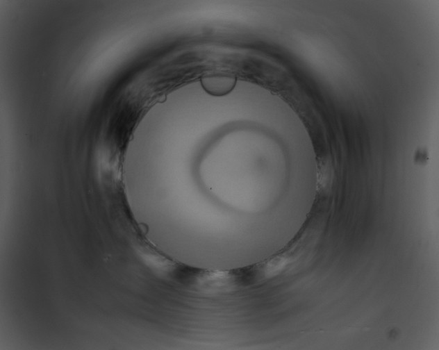 X0000100860431200807181140