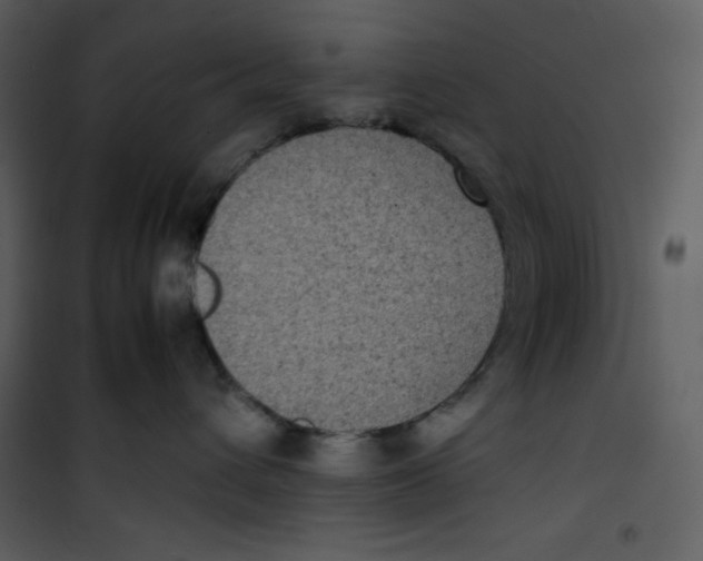 X0000100860432200807181140