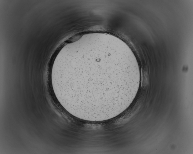 X0000100860435200807181140