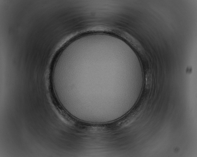 X0000100860436200807181140