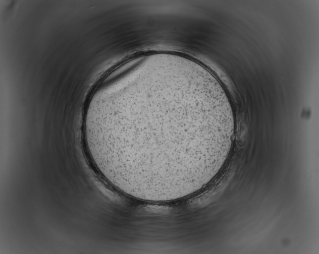 X0000100860437200807181140