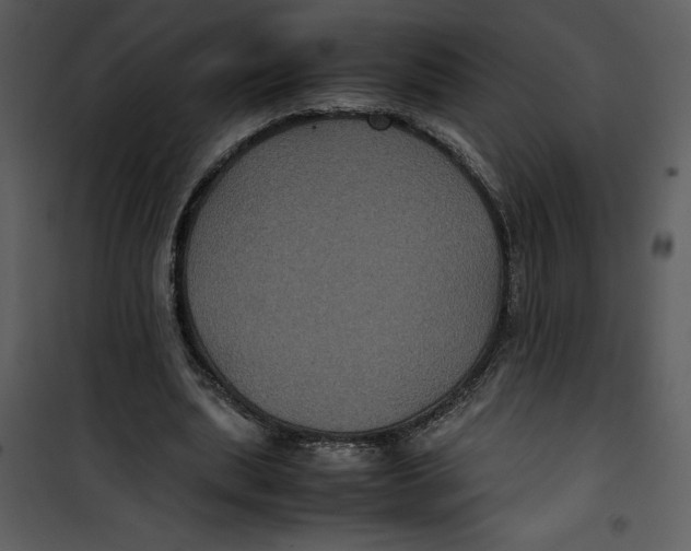 X0000100860439200807181140