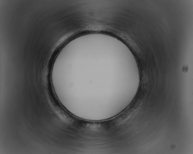 X0000100860440200807181140