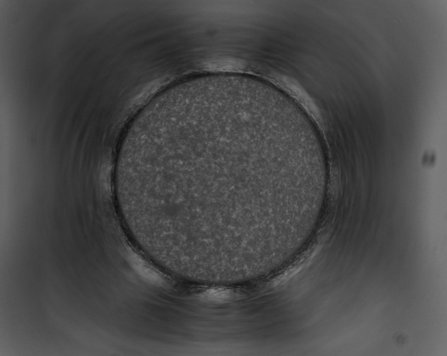 X0000100860441200807181140