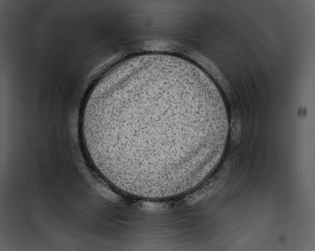 X0000100860442200807181140