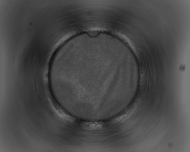 X0000100860443200807181140