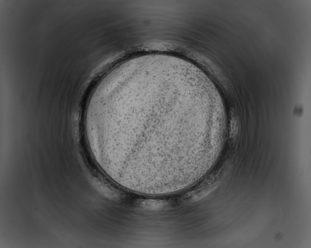 X0000100860444200807181140