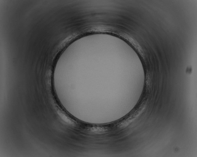 X0000100860445200807181140