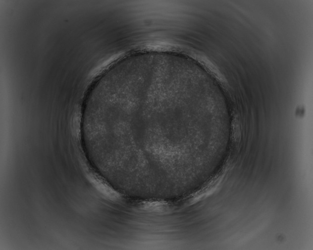 X0000100860446200807181140