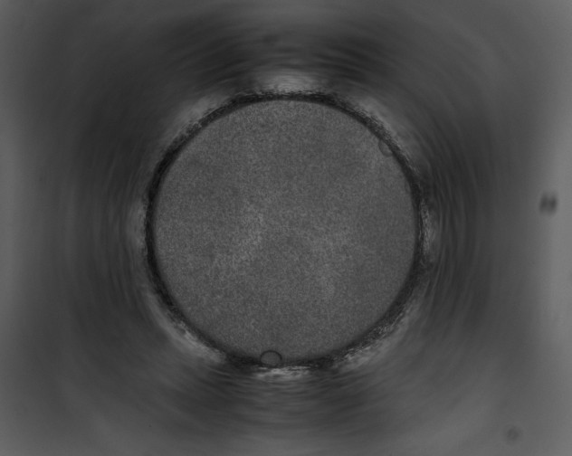 X0000100860447200807181140