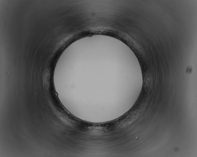 X0000100860448200807181140