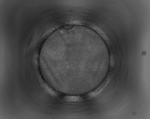 X0000100860449200807181140