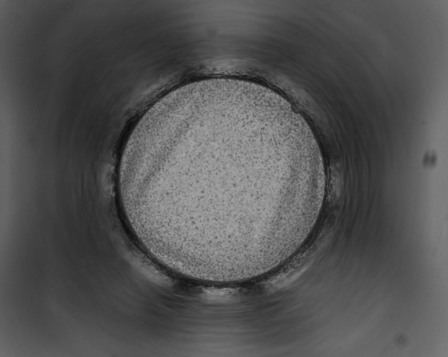 X0000100860450200807181140