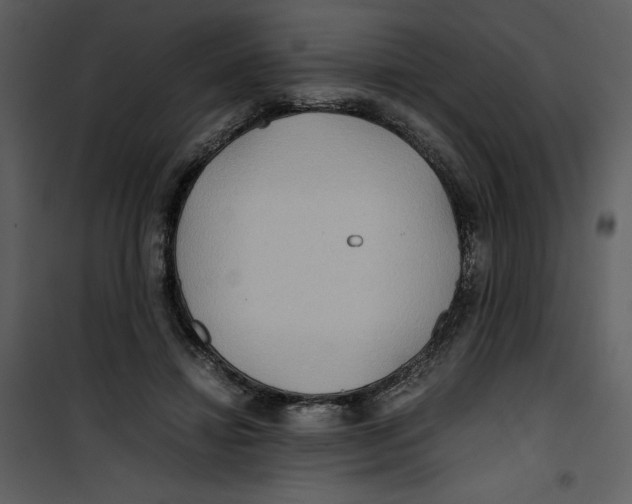 X0000100860452200807181140