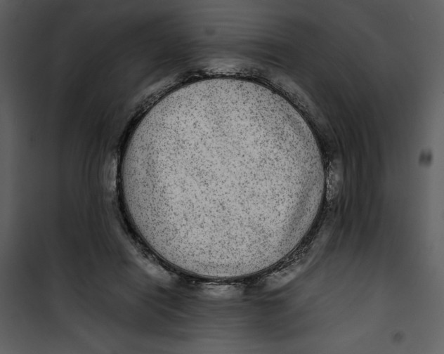 X0000100860454200807181140