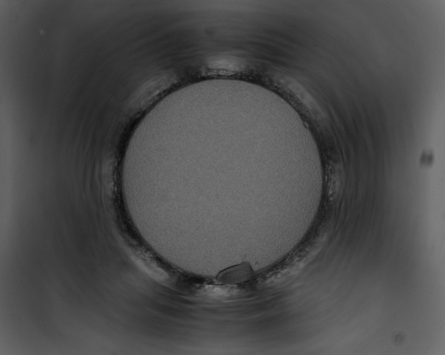 X0000100860455200807181140