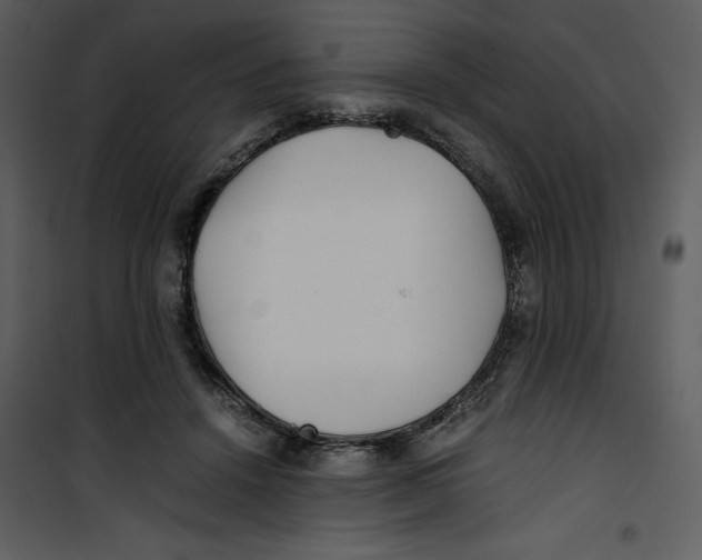 X0000100860456200807181140