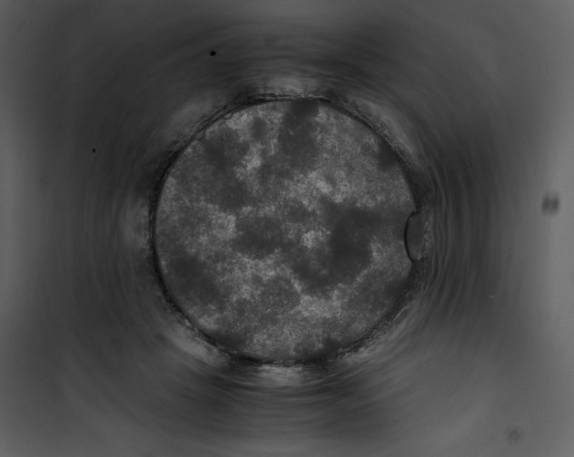 X0000100860457200807181140