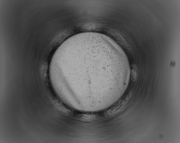 X0000100860458200807181140