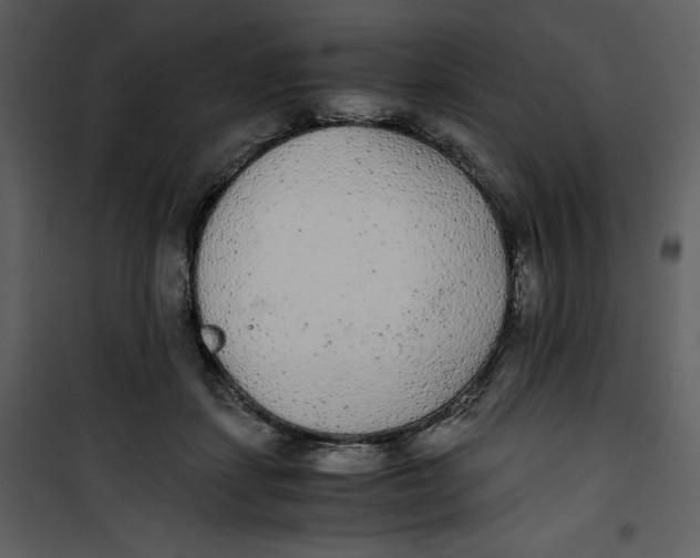 X0000100860459200807181140