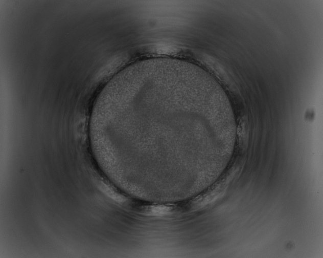 X0000100860462200807181140