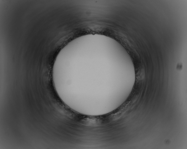 X0000100860464200807181140