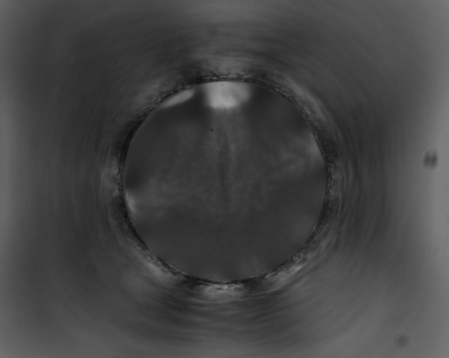 X0000100860465200807181140