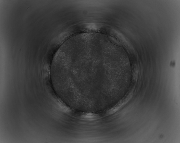 X0000100860467200807181140