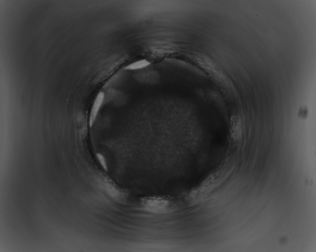 X0000100860471200807181140