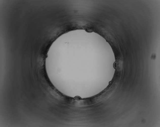 X0000100860472200807181140