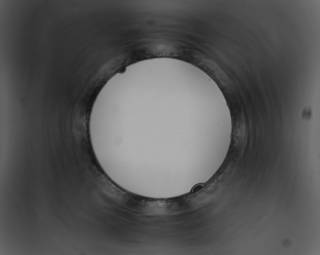 X0000100860473200807181140