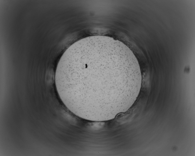 X0000100860474200807181140