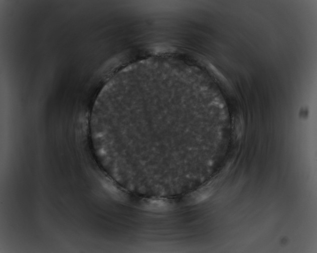 X0000100860475200807181140