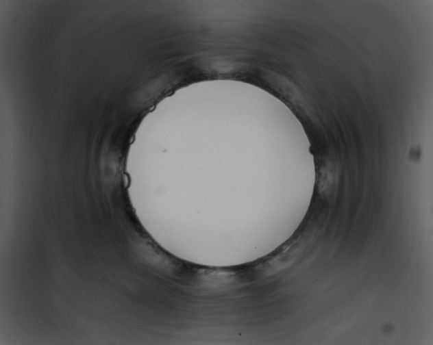 X0000100860476200807181140