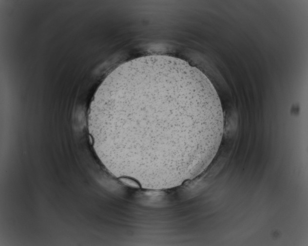 X0000100860478200807181140