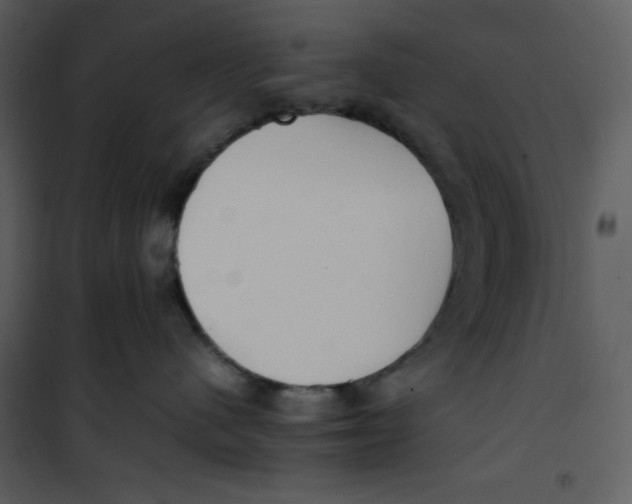 X0000100860480200807181140