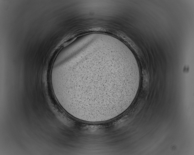 X0000100860482200807181139