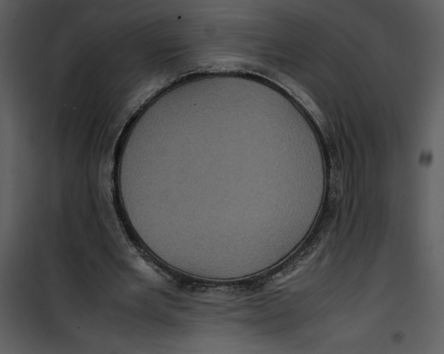 X0000100860485200807181139