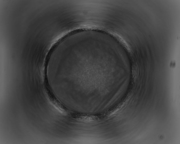 X0000100860488200807181139