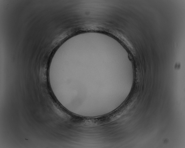 X0000100860489200807181139