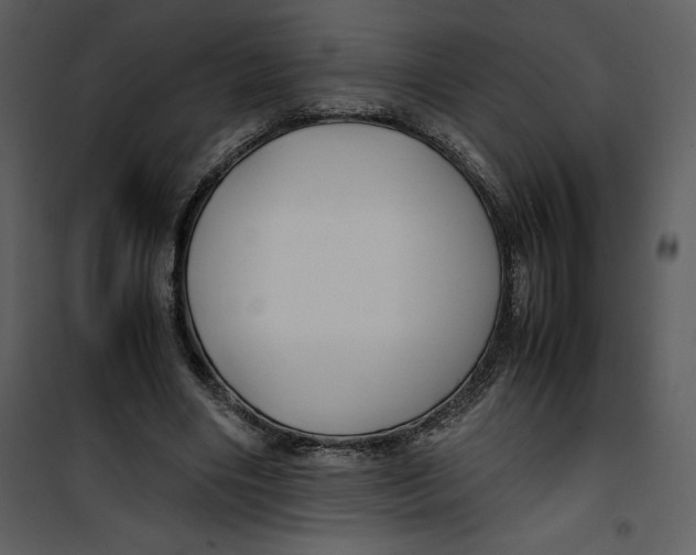 X0000100860490200807181139