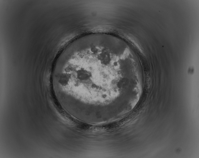 X0000100860491200807181139