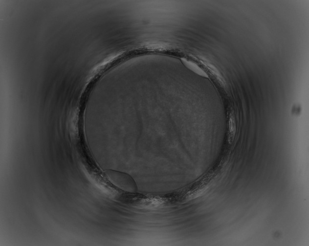 X0000100860492200807181139