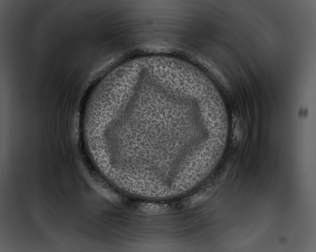 X0000100860494200807181139