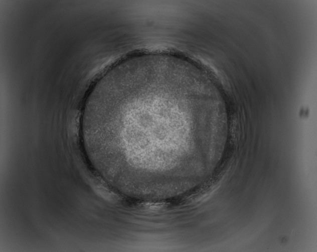 X0000100860495200807181139